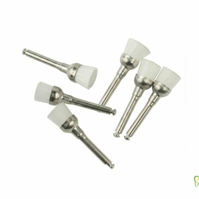 برس جرمگیری