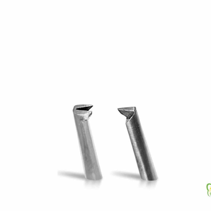 پنس آدسون کوخری