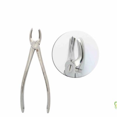 فورسپس مولر بالا راست